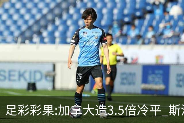 足彩彩果:加拿大造3.5倍冷平 斯洛伐克2-2黑山